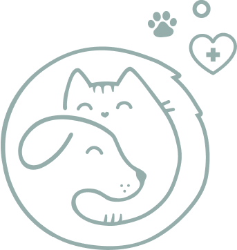 Primary Veterinary Support