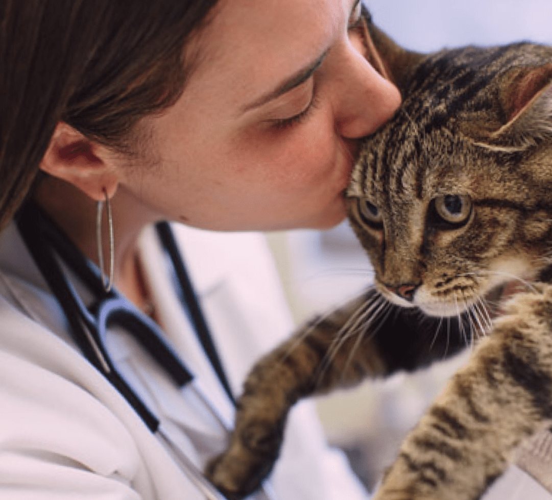 cancer care for pets and companion animals.